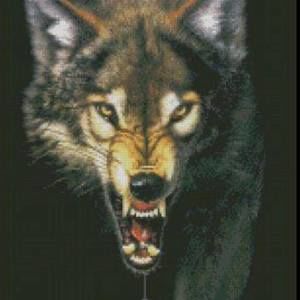 Meet your Posher, Alan